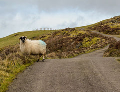 Co Down - Smile, Slieve Gullion - Unframed