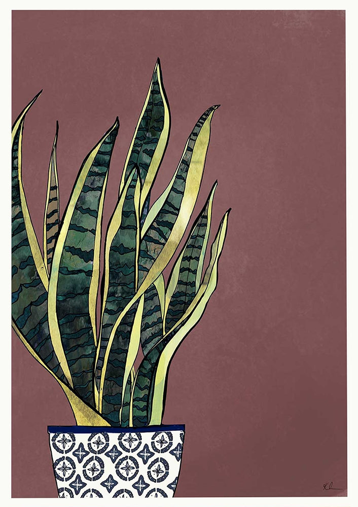 Snake Plant Unframed