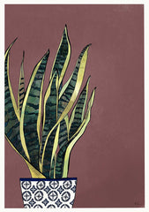 Snake Plant Unframed