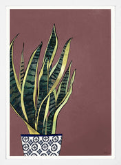 Snake Plant White Frame