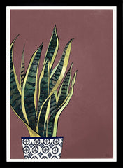 Snake Plant Black Frame