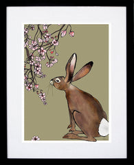 Spring Hare-19 x 27.5-Black Box Frame (With Mount)