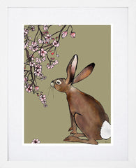 Spring Hare-19 x 27.5-White Box Frame (With Mount)