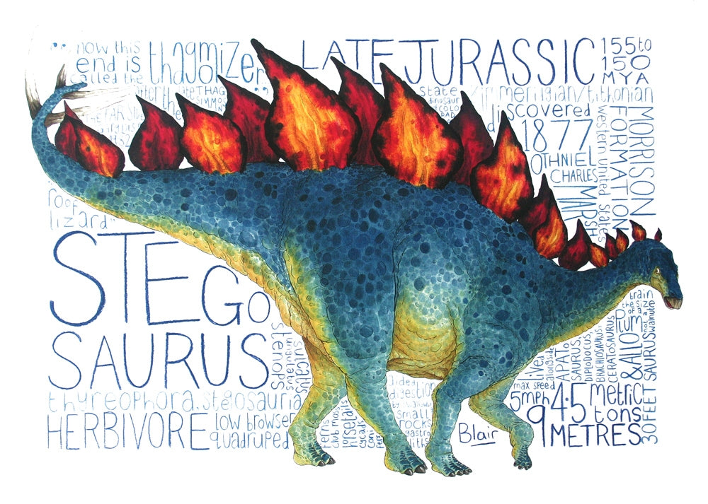  Animals- Stegosaurus Unframed