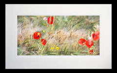 Other - Summer Meadow Flat Black Frame