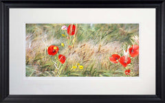 Other - Summer Meadow Frame Black Moulded 71X45