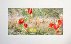 Other - Summer Meadow Unframed 71x45