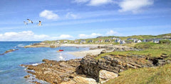 Co Donegal - Summer Port na Blagh