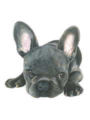 Taking It Easy, French Bulldog Unframed