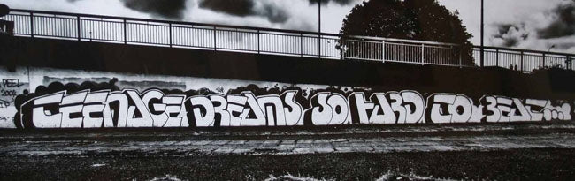 Teenage Dreams Mural Belfast 76 x 20.5 Unframed 