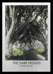 Belfast - The Dark Hedges-50 x 70-Black Box Frame