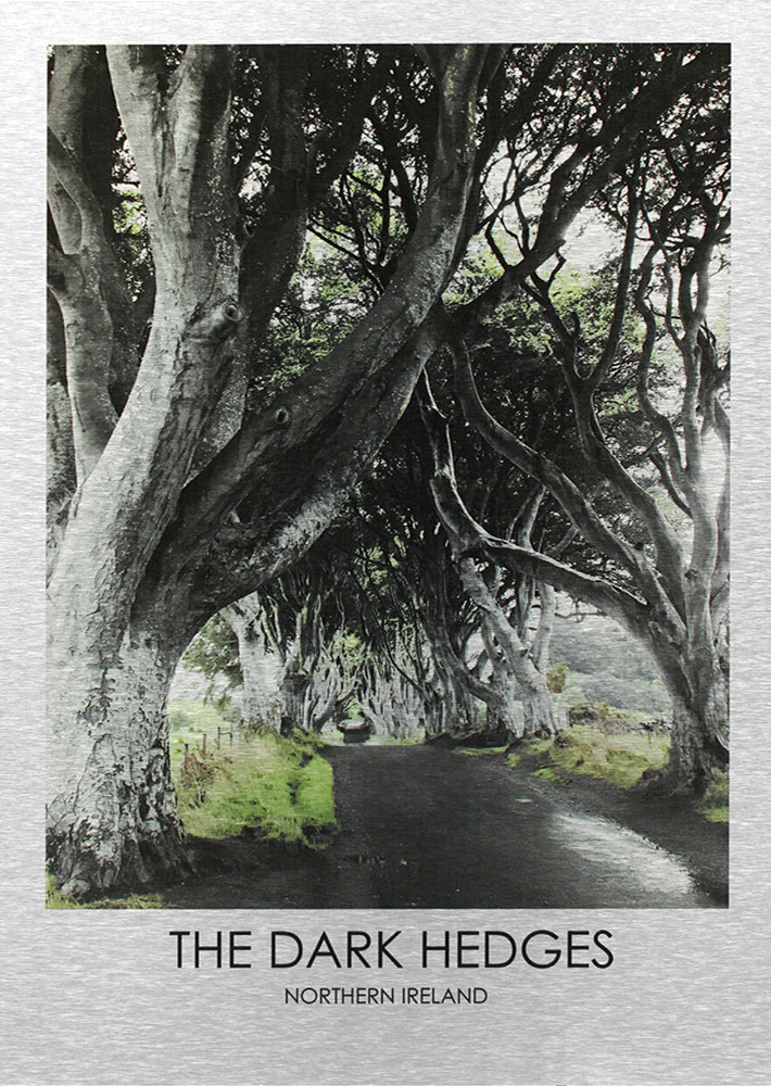 Belfast - The Dark Hedges-50 x 70-Unframed