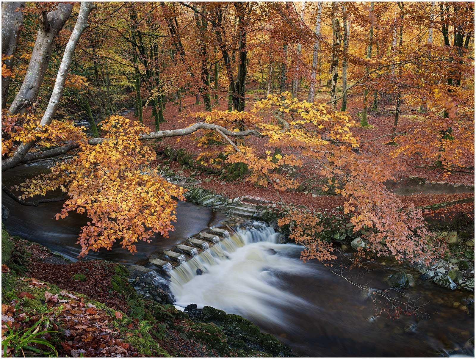 Co Donegal - Tollymore Stepping Stones Unframed