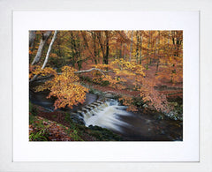 Co Donegal - Tollymore Stepping Stones White Frame