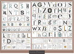 The Taxonomy of Typography Unframed