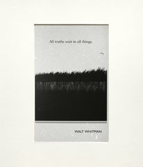 Postcard - Walt Whitman Unframed