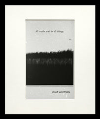 Postcard - Walt Whitman Small Flat Black Frame