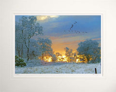 Other - Winter Sunset Unframed 60x47.5