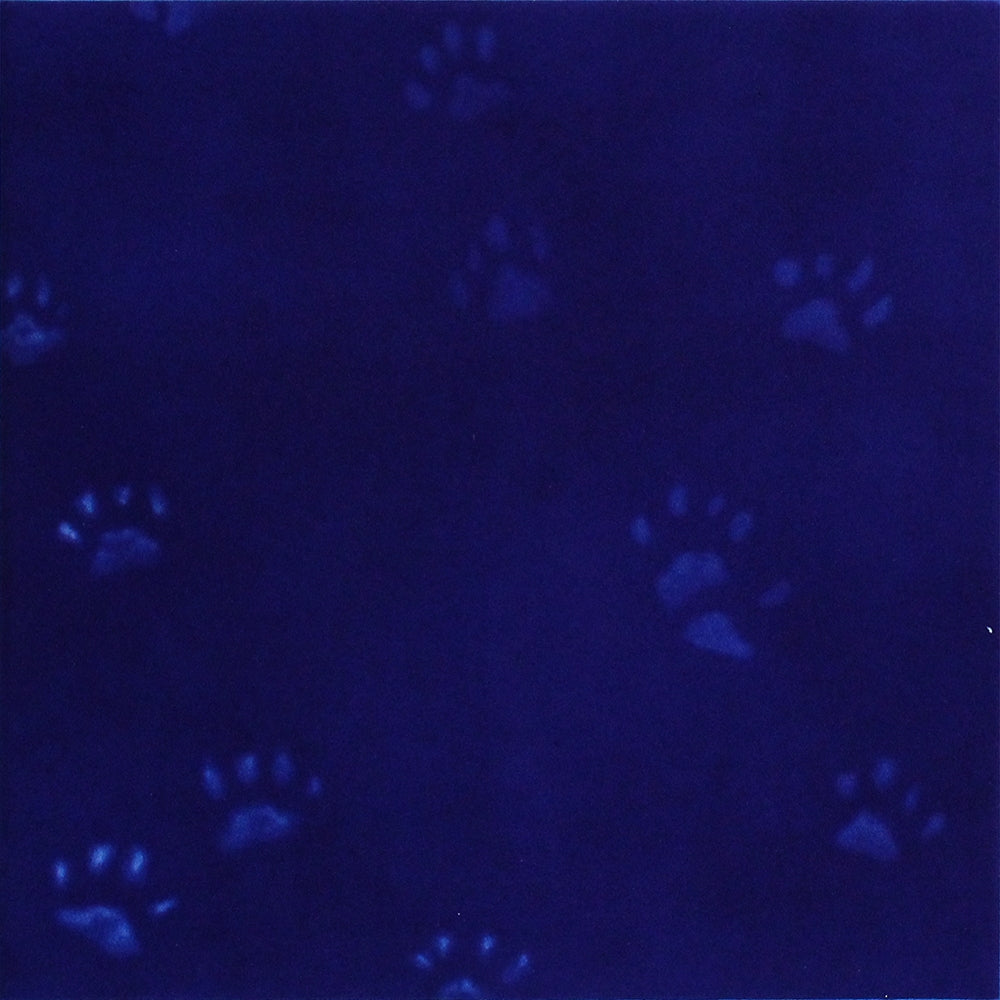 Yves Klein's Cat