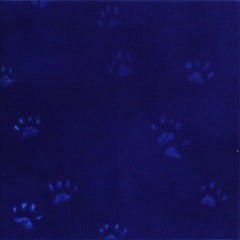 Yves Klein's Cat