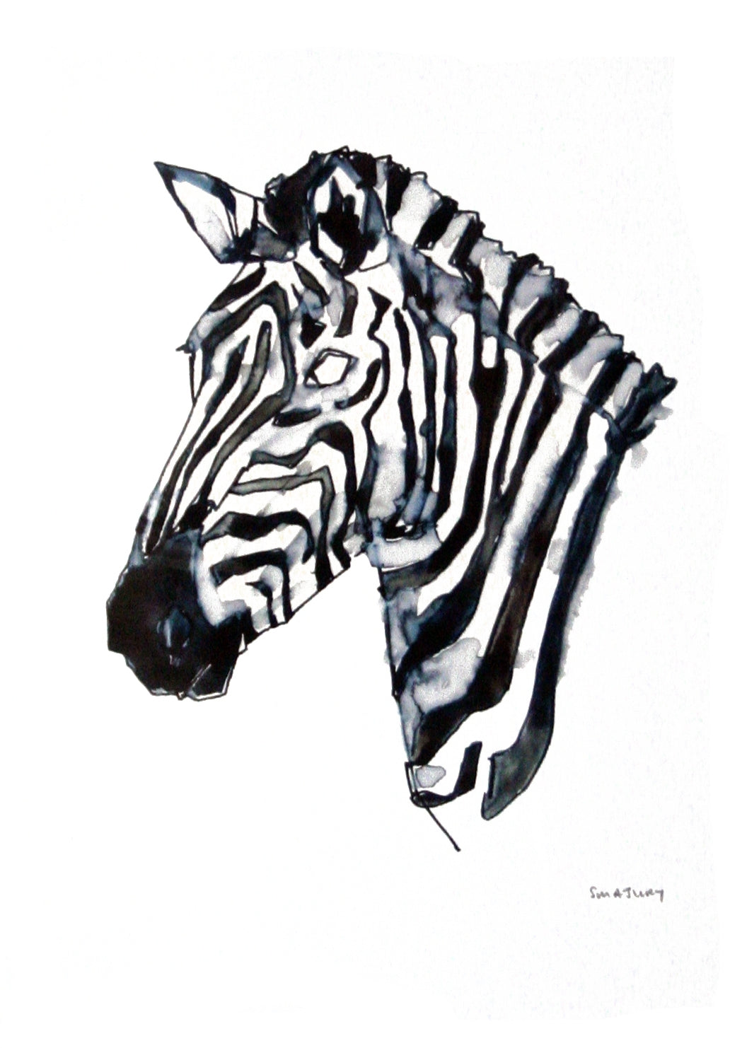 Animals Zebra - Zebra in Colour Unframed