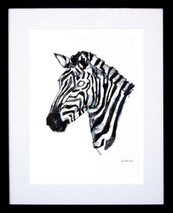 Animals Zebra - Zebra in Colour Black Frame