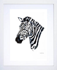 Animals Zebra - Zebra in Colour White Frame